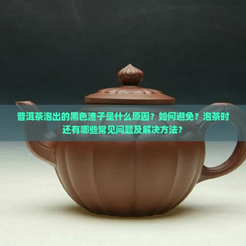 泡普洱茶有黑色的渣怎么回事