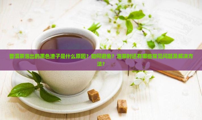 泡普洱茶有黑色的渣怎么回事