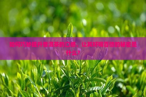 让你的普洱茶好喝百倍
