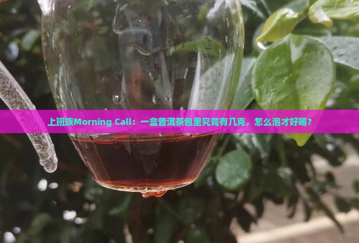 普洱茶包一包几克茶盒