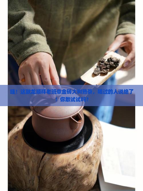 龙顺祥老班章金砖大树熟茶
