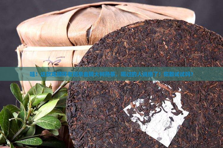 龙顺祥老班章金砖大树熟茶