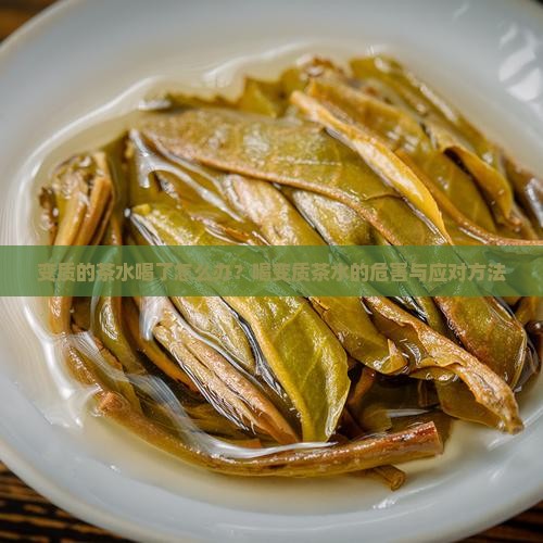 变质的茶水喝了怎么办 变质的茶水喝了怎么办