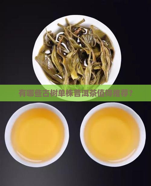 哪些普洱茶有单株包装的
