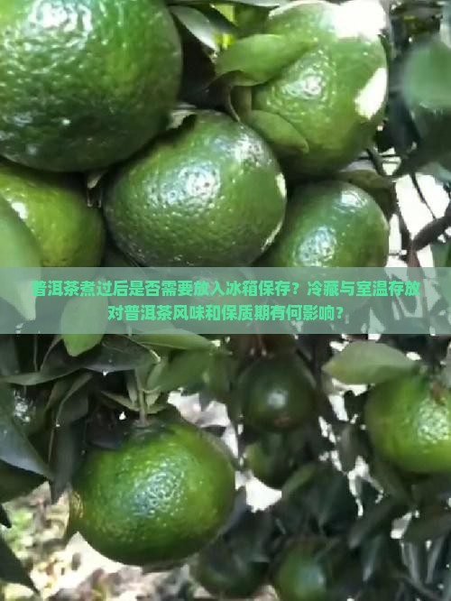 普洱茶煮过后是否放冰箱