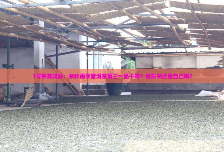 余秋雨购买藏普洱茶雨兰一品