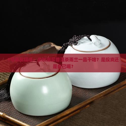 余秋雨购买藏普洱茶雨兰一品