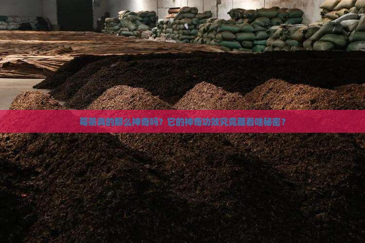莓茶的功效与作用是真的吗