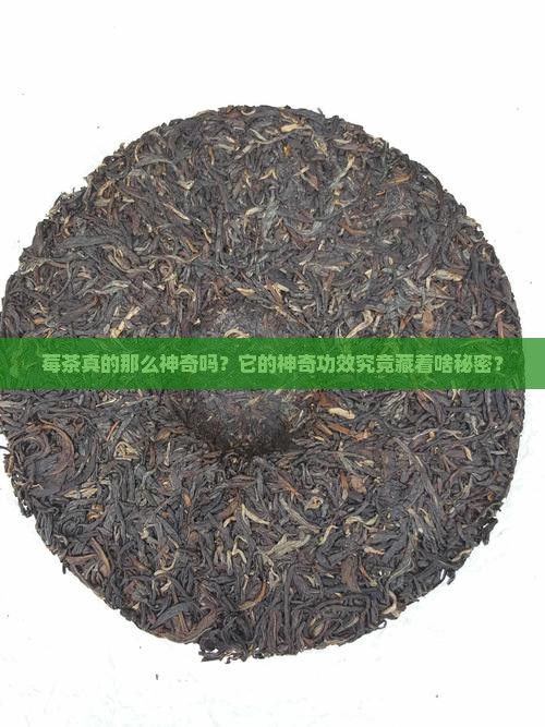 莓茶的功效与作用是真的吗