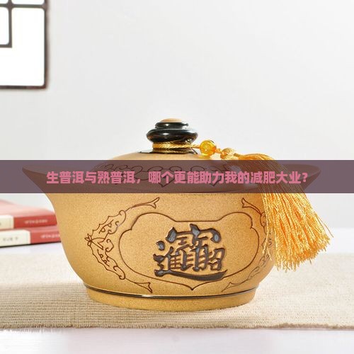 喝生普洱减肥还是熟普洱减肥