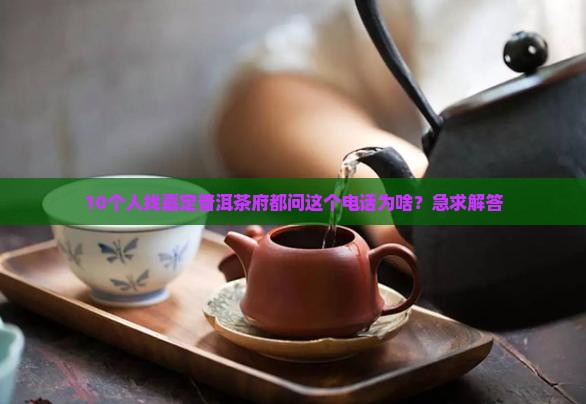嘉定普洱茶府电话
