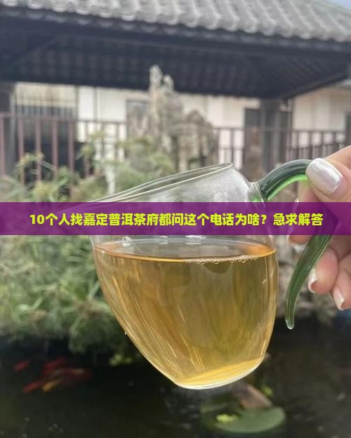 嘉定普洱茶府电话