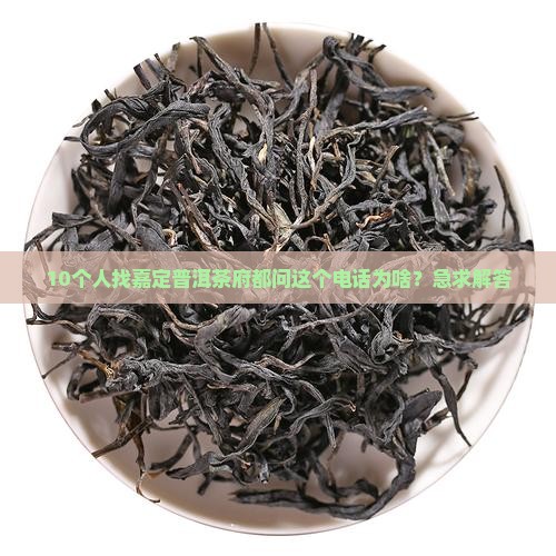 嘉定普洱茶府电话