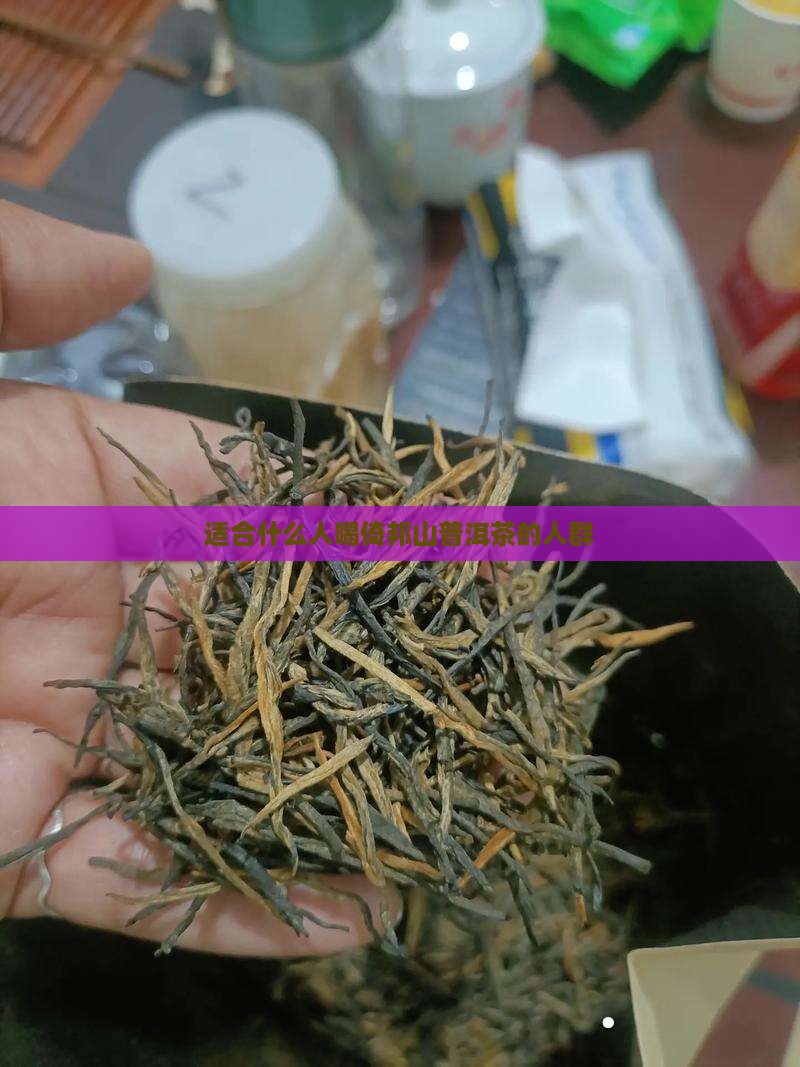 倚邦山普洱茶适于哪些人群