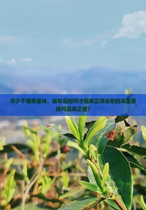 年少不懂茶滋味