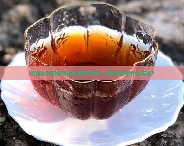 云南土林普洱茶价格多少