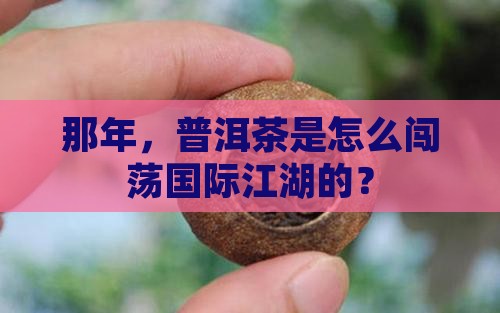 普洱茶哪一年出口