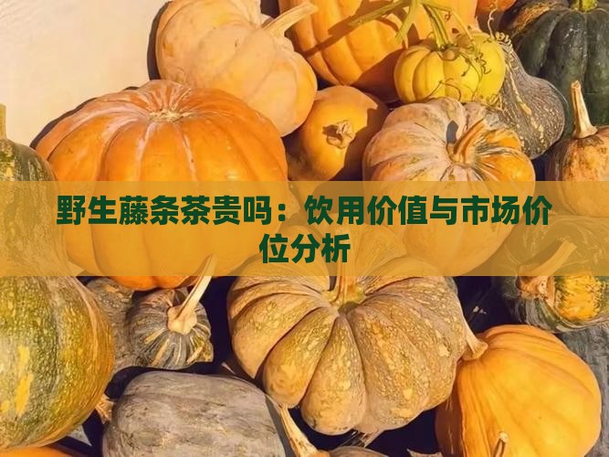 野生藤条茶贵吗