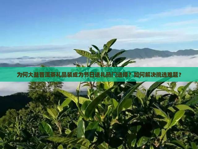 大益普洱茶礼品装 大益普洱茶礼品装