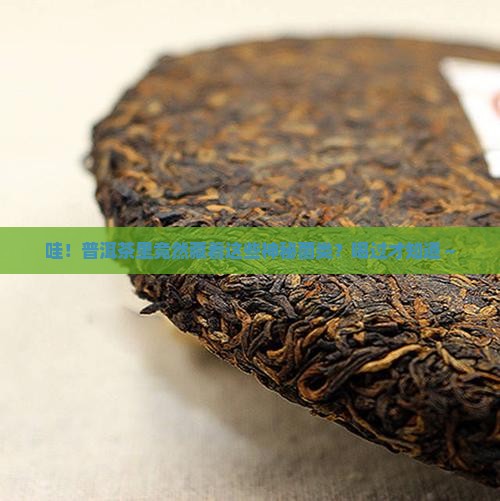 普洱茶里是什么菌类的茶 普洱茶里是什么菌类的茶