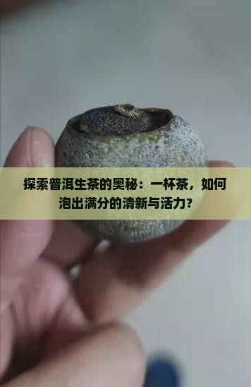 普洱茶生茶怎么杯泡好喝