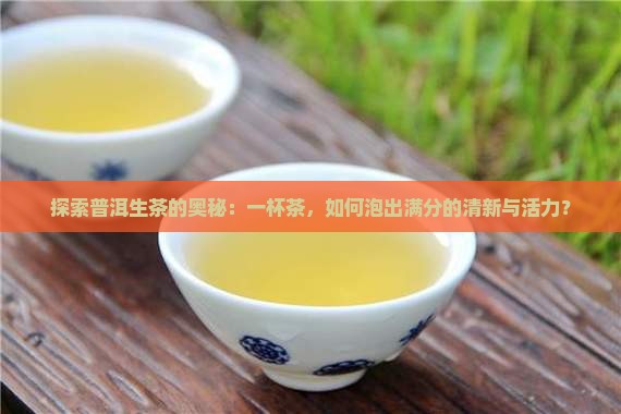普洱茶生茶怎么杯泡好喝
