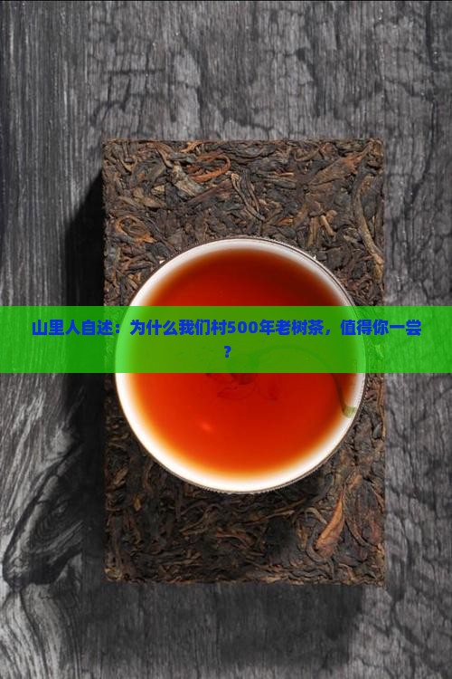 普洱茶深山老树茶