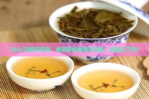 老班章马年纪念茶