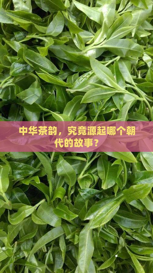 中国茶什么时候开始