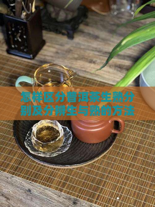 怎样区分普洱茶生熟分别