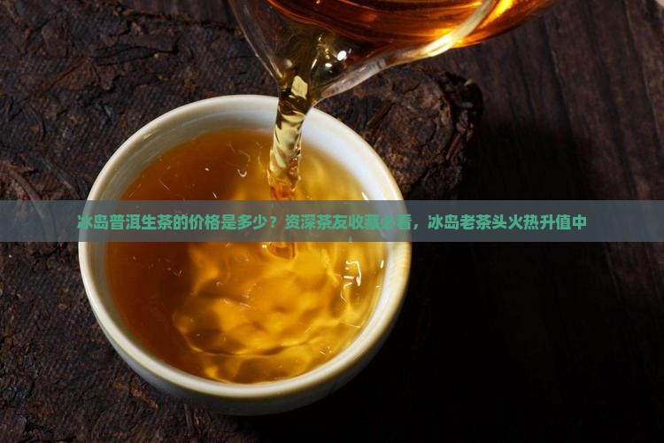 冰岛普洱生茶的价格