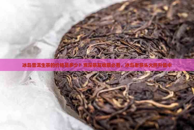 冰岛普洱生茶的价格