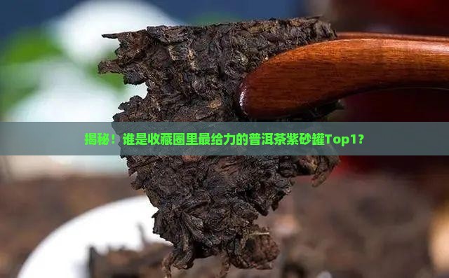 普洱茶紫砂罐排行榜