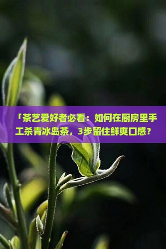 冰岛茶手工杀青