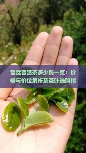 宫廷普洱茶多少钱一克 宫廷普洱茶多少钱一克