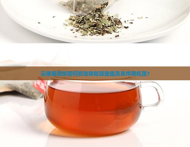 云南普洱茶降尿酸