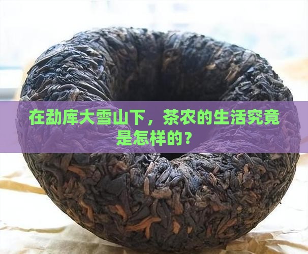 勐库大雪山茶农