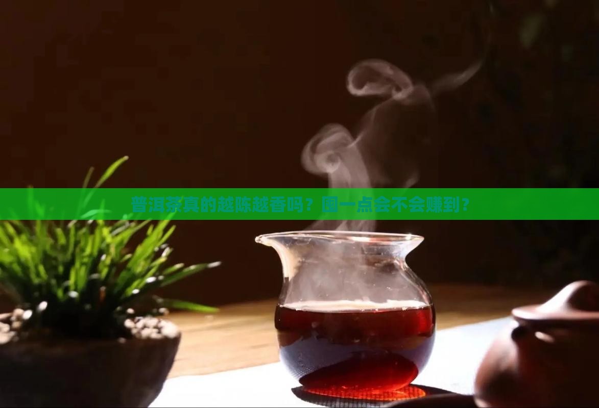 普洱茶该不该囤一下保质期
