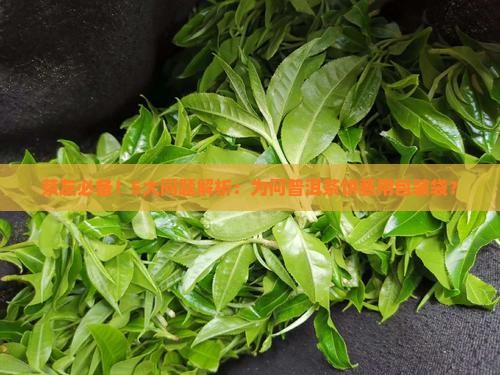 普洱茶饼购买纳包装袋