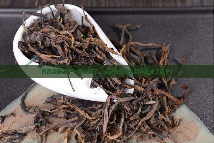 普洱茶碎银子一捏就碎了
