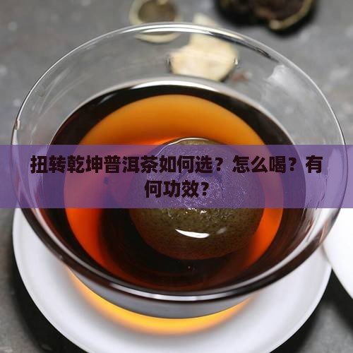 扭转乾坤普洱茶