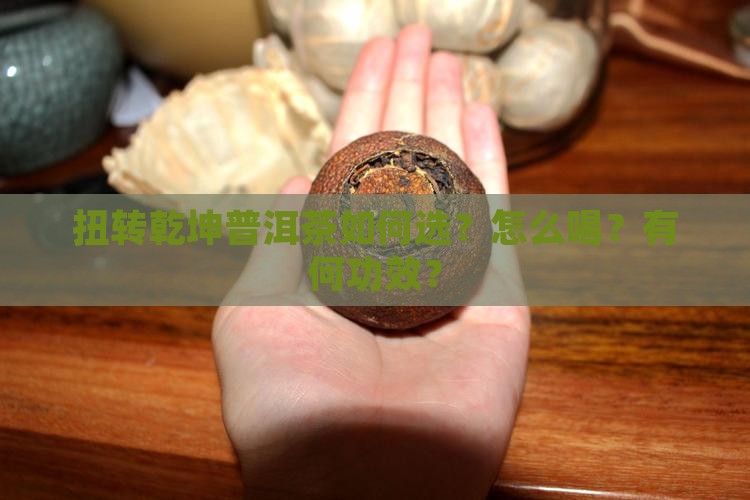 扭转乾坤普洱茶