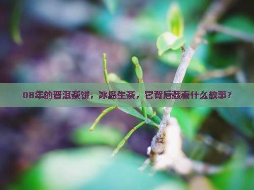 08年普洱茶饼冰岛生茶