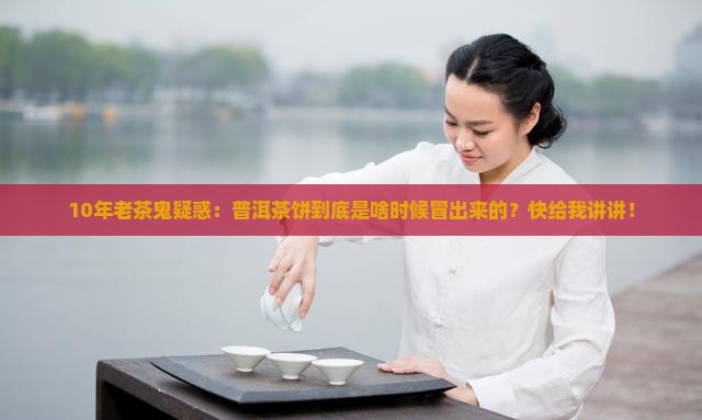 普洱茶饼什么时候出现