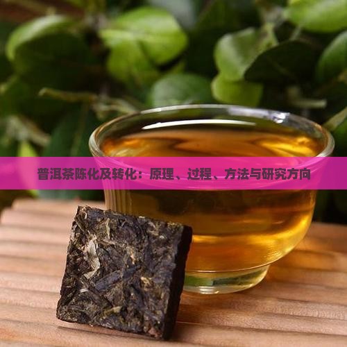 普洱茶陈化及转化