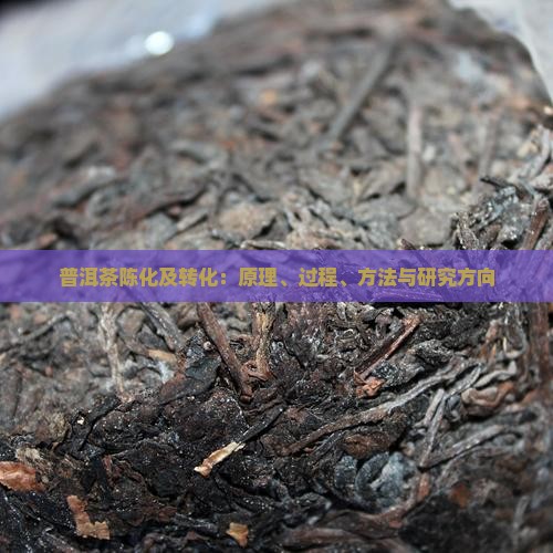 普洱茶陈化及转化