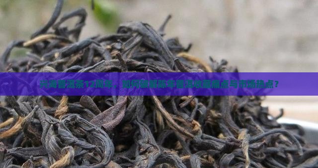 兴海普洱茶12周年