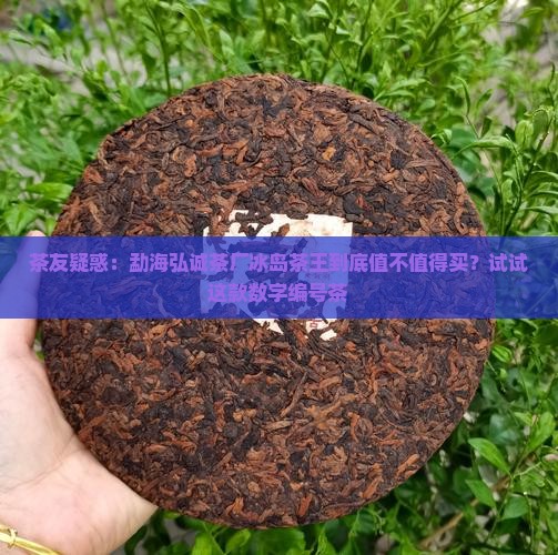 勐海弘诚茶厂冰岛茶王