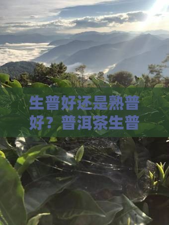 普洱茶生普的功效与区别