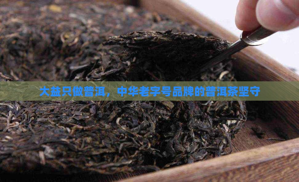 大益茶只做普洱吗